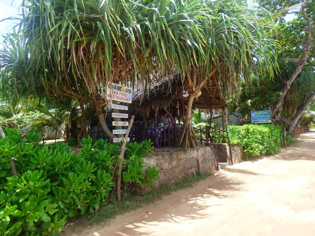 Chandi Gaya Beach Guesthouse Тангале Екстериор снимка